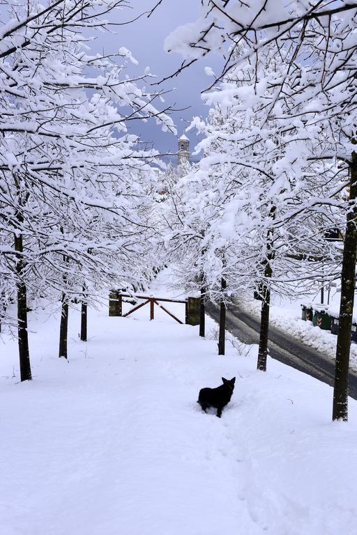 Hotel Pian Del Sole Сасселло Экстерьер фото