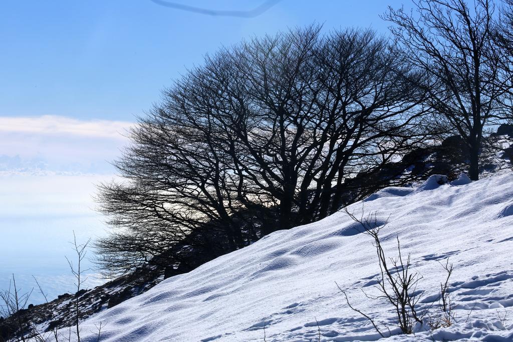 Hotel Pian Del Sole Сасселло Экстерьер фото